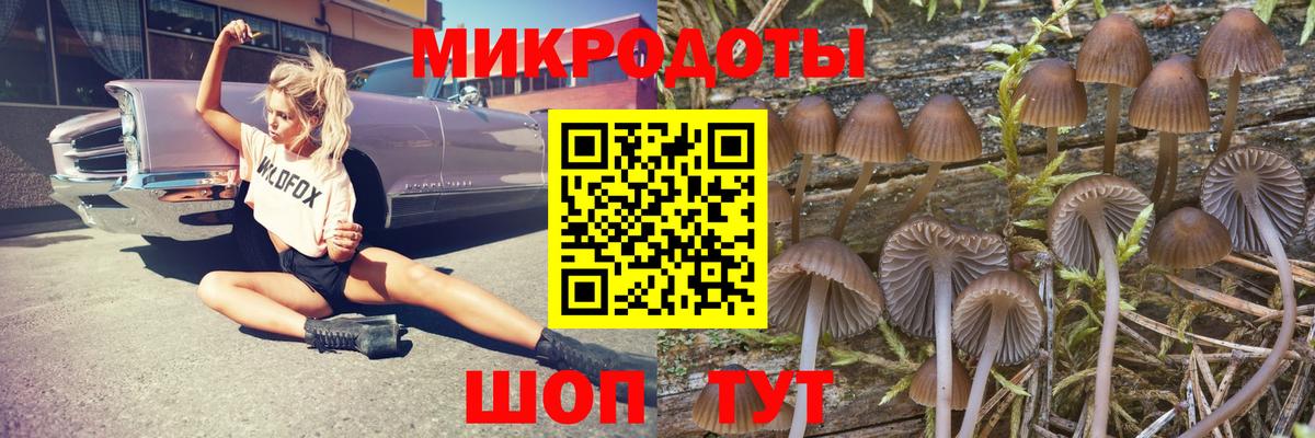 Псилоцибиновые грибы Psilocybe  сколько стоит  Тихвин  Вход с VPN 